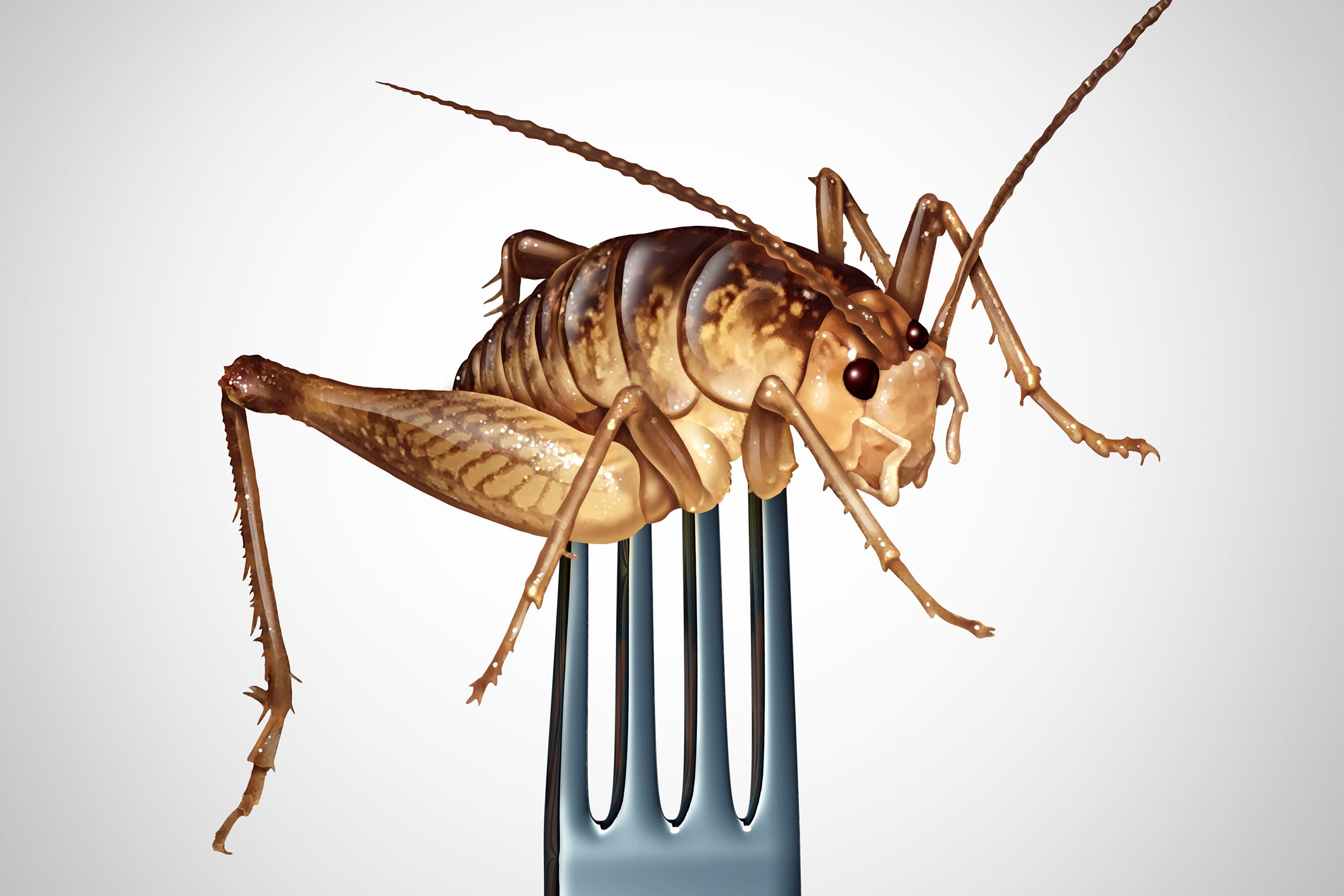 Les insectes comestibles sont bons pour la planète et pour la
