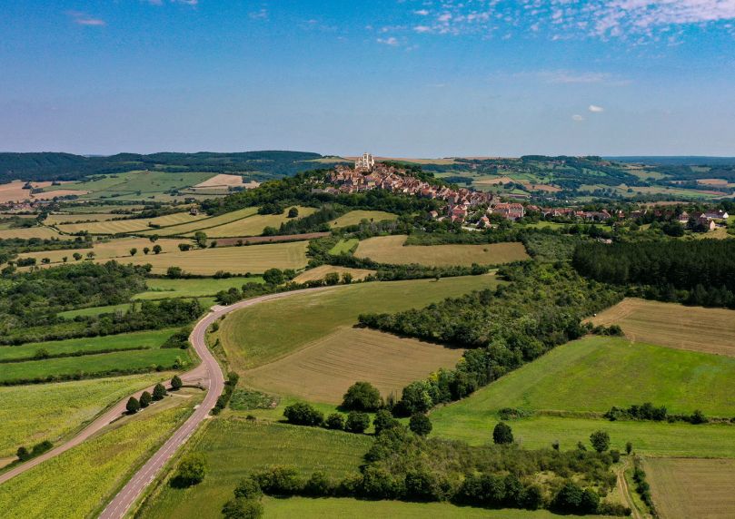 Flore des bordures de champs : des bénéfices et des risques qui dépendent des pratiques agricoles