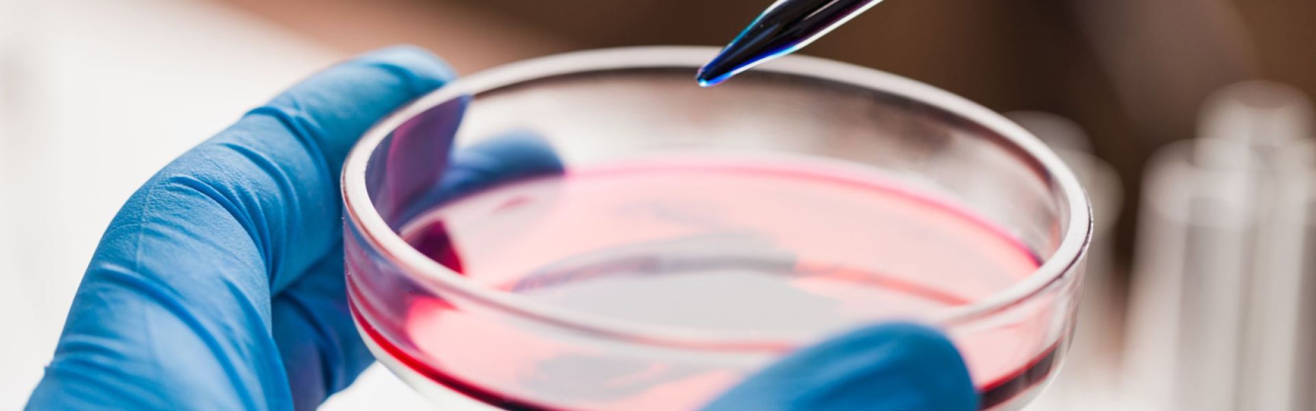 PARC : vers de nouvelles méthodes pour tester la toxicité des substances chimiques