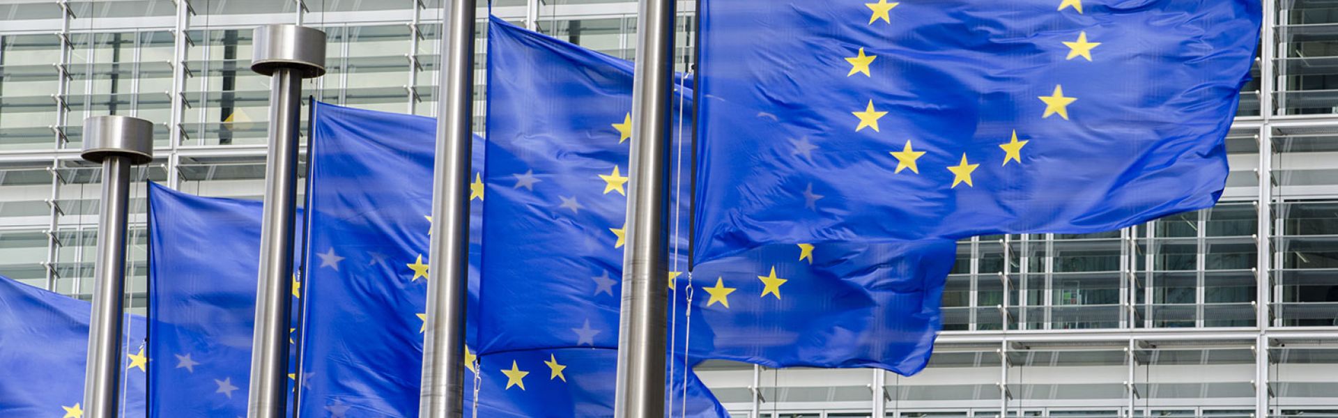 Fluorure de sodium : proposition de classement comme perturbateur endocrinien et toxique pour la reproduction