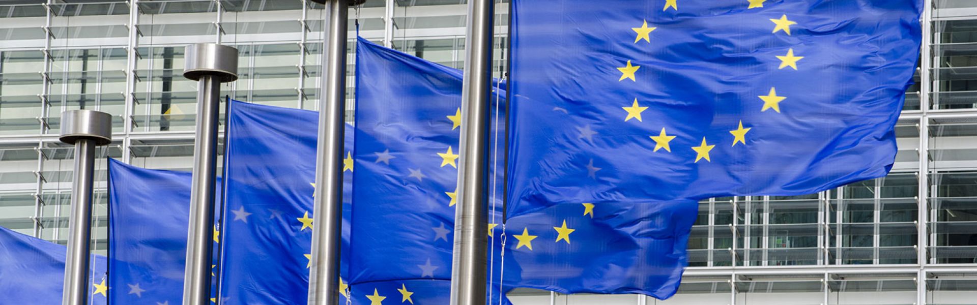 Etendre le nombre de phtalates classés toxiques pour la reproduction et perturbateurs endocriniens dans le règlement CLP 