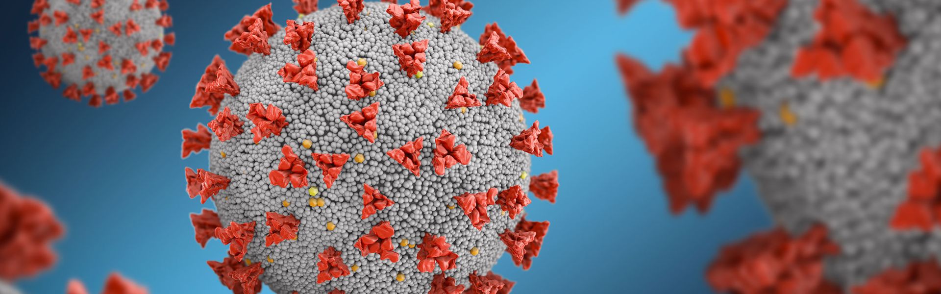 Visuel d'illustration de coronavirus