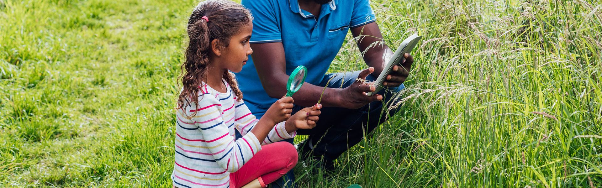 science participative