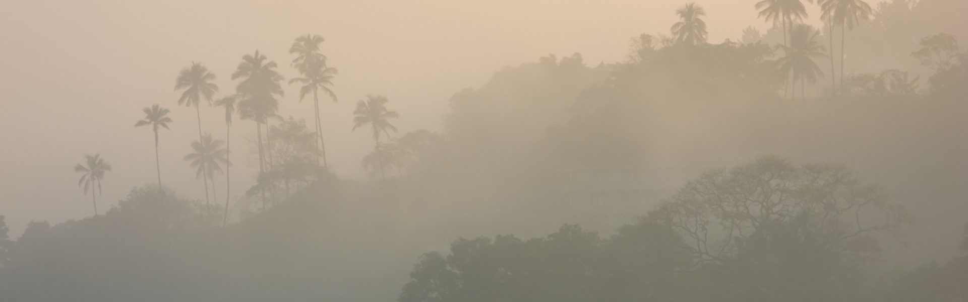 Mieux anticiper les brumes de sable pour limiter l’exposition à cette pollution atmosphérique