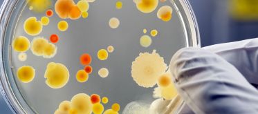 Activités de référence du laboratoire de Ploufragan-Plouzané-Niort