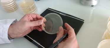 Identifier plus rapidement les bactéries productrices de toxines