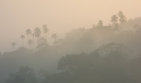 Mieux anticiper les brumes de sable pour limiter l’exposition à cette pollution atmosphérique